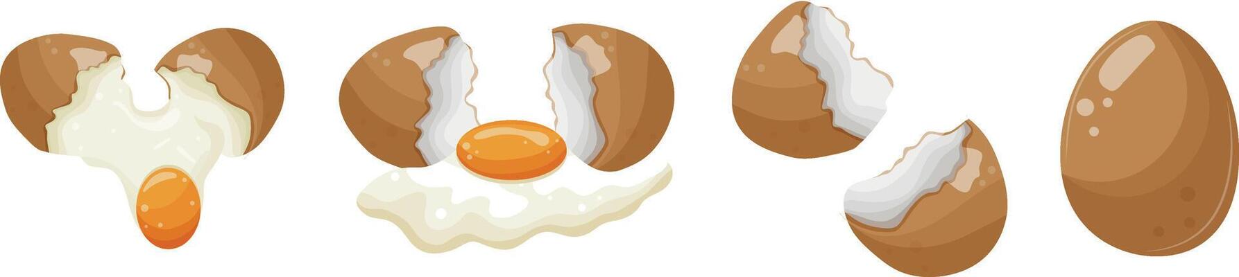 set of various chicken eggs in the process of breaking the egg and shells from under the chicken egg, for various designs and patterns