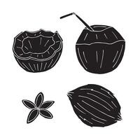Set bundle of hand drawn doodle sketch coconuts isolated on white background vector