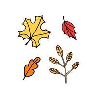 Set bundle of hand drawn doodle sketch leaves isolated on white background vector
