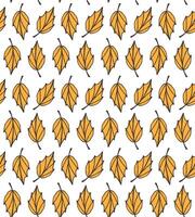 Seamless pattern of hand drawn doodle sketch orange autumn leaves isolated on white background vector