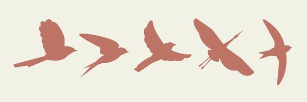 Abstract Flying Birds collection. Wildlife, Migration Birds vector