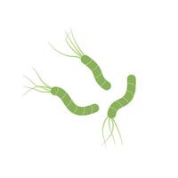 Helicobacter pylori bacteria icon ilkustration vector