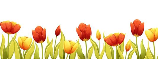 Floral frame, border with red spring tulips. Horizontal botanical panorama, template for design vector