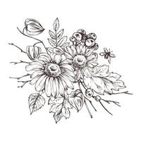 Autumn berries physalis, chokeberry, rowan leaves, maple, birch, rudbeckia flowers, tree branches and ladybugs. Graphic line art hand drawn with black ink. Arrangement, sublimation, composition vector