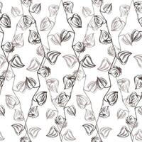 Autumn physalis berries on branches dry, without leaves dried flowers. For decorating summer, autumn, harvest. Graphic line art hand drawn with black ink. Seamless pattern endlessly repeating ornament vector