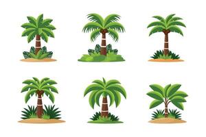 palm tree set flat illustration isolated on white background. vector