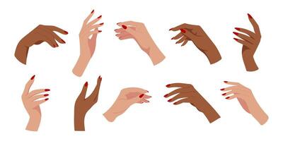 A set of ten hand drawings with red nails. The hands are of different colors and sizes, and they are all lined up next to each other. Concept of variety and diversity vector