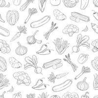 Vegetables seamless pattern on white background. Hand drawn illustration in doodle style. vector