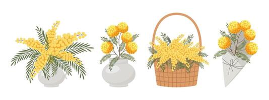 A set of compositions of mimosa bouquets in a vase, basket and envelope.Festive spring illustration. vector