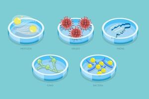 3D Isometric Flat Set of Types Of Infectious Agents , Microorganism That Causes Diseases vector