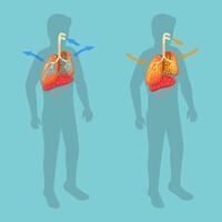 3D Isometric Flat Conceptual Illustration of Respiratory System, Movement of the Diaphragm vector