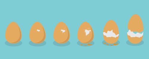 3D Isometric Flat Set of Broken Chicken Eggs, Cracked Eggshell vector