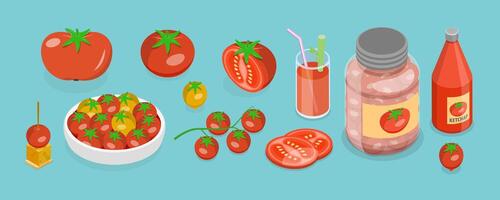 3D Isometric Flat Set of Tomato Elemets and Products, Whole, Half and Slice vector