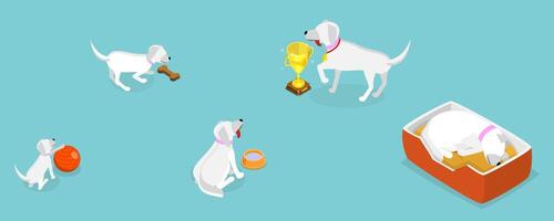 3D Isometric Flat Set of Pets Growth Stages, Dog at Different Age vector