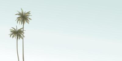 Coconut palm trees with blue sky background graphic illustration have blank space. vector
