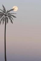 Minimalist tropical climate with silhouette palm trees and full moon have vanilla sky vertical background graphic illustration have blank space. vector