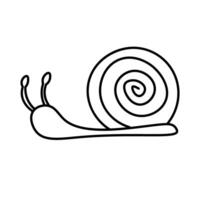 Simple doodle snail crawling vector