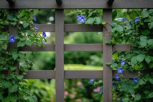 A wooden fence with ivy growing through it photo