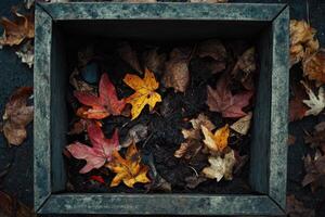 A box full of leaves with a brownish color photo