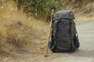 A backpack is sitting on the ground next to a stick photo