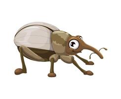 Cartoon funny weevil beetle, insect bug character vector