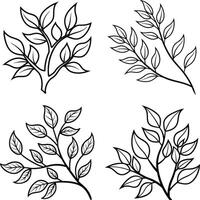 Botanical Tree Sketch Illustrations vector