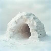 A small snow hut is built in the snow photo