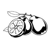 Black And White Illustration Of Guavas And Lime Slice vector
