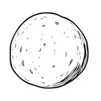 Hand-Drawn Sketch Of A Single Round Lime Fruit vector