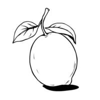 Line Art Drawing Of A Single Lemon With Leaves vector