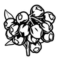 Cluster of Dark Berries with Leaves Bold Line Art vector