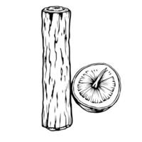 Detailed Line Drawing Of A Shiitake Mushroom And Log vector