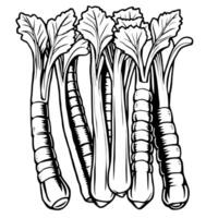 A Collection Of Fresh Celery And Root Vegetables vector