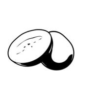Halved Black Sapote Fruit A Simple Graphic Illustration vector