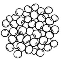 A Pile Of Round White Peas Close-Up View vector