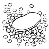 Single Soybean Pod and Scattered Soybeans Illustration vector