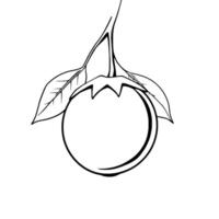 Line Drawing Of A Single Eggplant With Leaves vector
