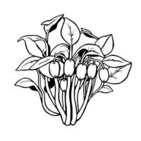 Elegant Line Art Drawing Of A Bunch Of Berries With Leaves vector