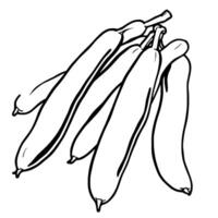 Line Drawing Of A Bunch Of Long Curved Bananas vector