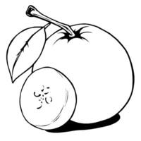 Line Art Drawing Of An Apple With A Slice vector