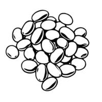 A Pile of Red Kidney Beans Isolated on White vector
