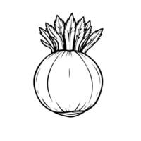 Line Art Drawing Of A Single Beetroot Vegetable vector