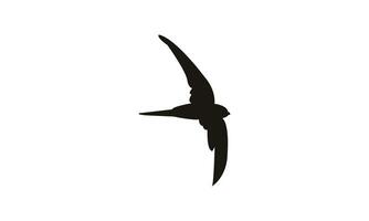 Flying African palm swift black Silhouette Design vector
