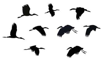 Flying African openbill bird Silhouette Collection vector