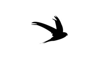 Flying African palm swift bird black Silhouette Design vector