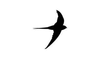 Flying African palm swift bird black Silhouette vector