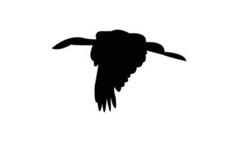 Flying African openbill bird black Silhouette vector