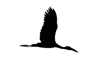 Flying African openbill bird black Silhouette Design And Illustration. vector