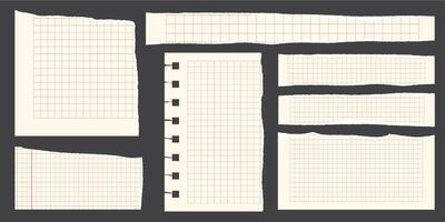 Notebook paper scraps. Torn pieces of paper, with torn edges for notes, realistic torn pieces of blank note pages. illustration isolated vector