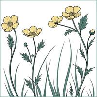 An illustration of yellow flowers on a green background vector